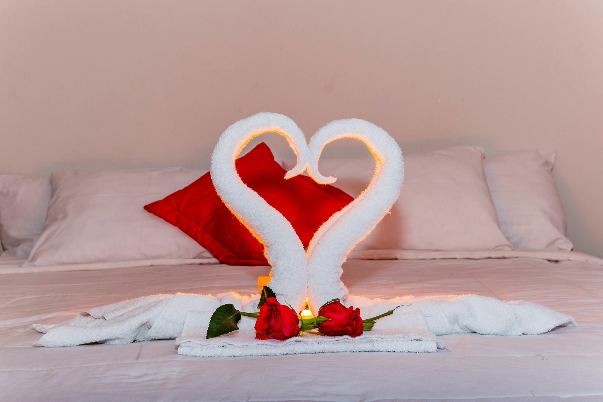 Cusco House Otel Dış mekan fotoğraf